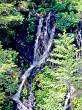 富良野市・原始,無名の滝