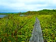 稚内市・メグマ沼自然公園木道