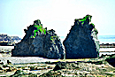 奇岩ロード 夫婦岩