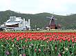 上湧別チューリップ公園-01