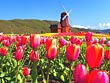 上湧別チューリップ公園-02