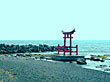 金比羅岬の鳥居
