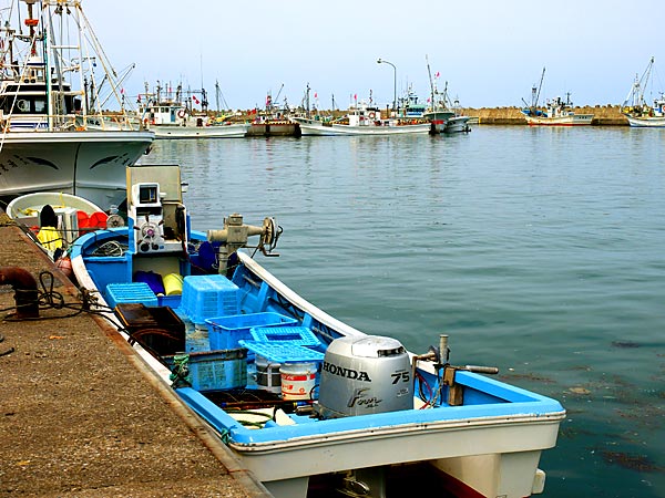 枝幸町の釣り 枝幸南部海岸の釣り場