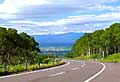 鹿追町・白樺峠